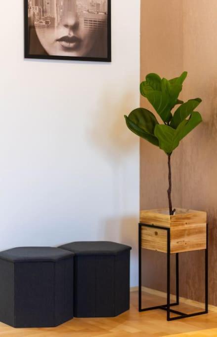 Gozsdu White Raven 3 - Terrace And Free Underground Parking Apartmán Budapest